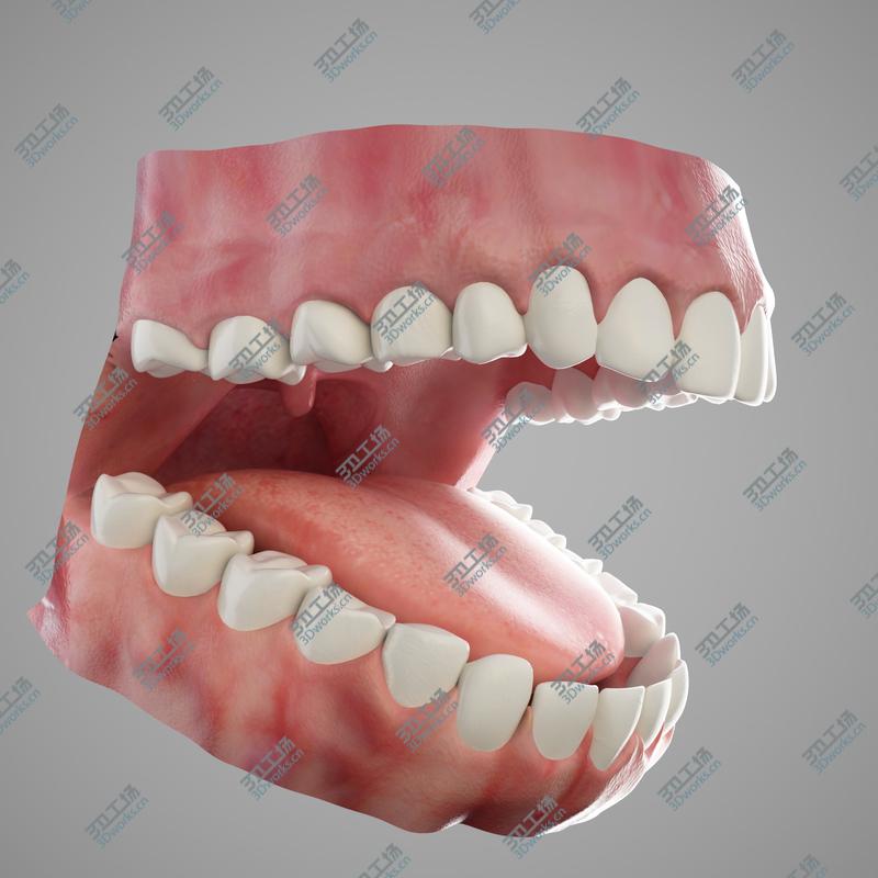 images/goods_img/202105071/Human Teeth/2.jpg